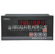 XMDA-6000智能巡回顯示調節(jié)器