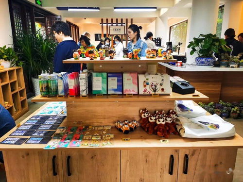 大理文旅融合新篇章 旅游集團(tuán)與高校攜手，民族文化創(chuàng)意中心試運(yùn)營(yíng)啟航